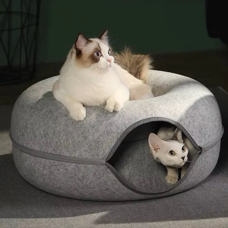 ChatCondo™ - Gris Clair - Mon chat boutique