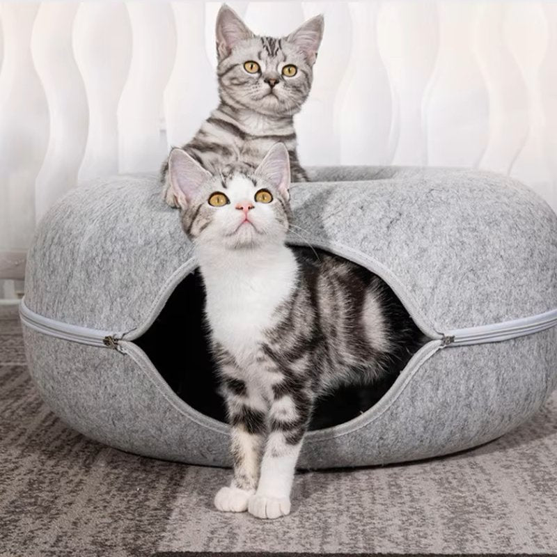 ChatCondo™ - Gris Clair - Mon chat boutique