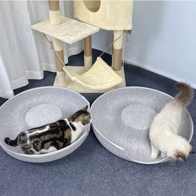 ChatCondo™ - Gris Clair - Mon chat boutique