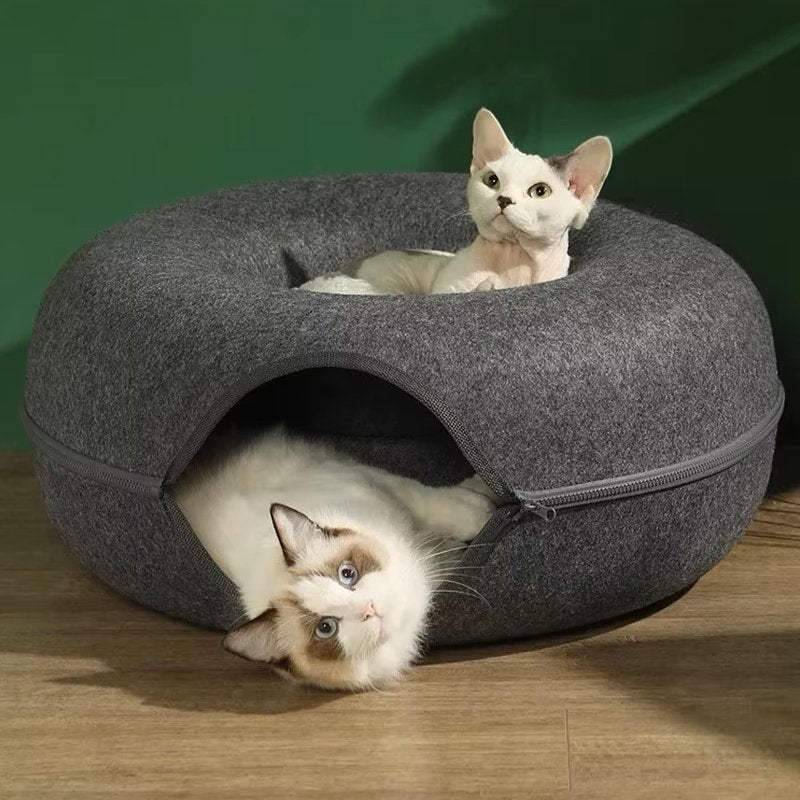 ChatCondo™ - Gris Foncé - Mon chat boutique