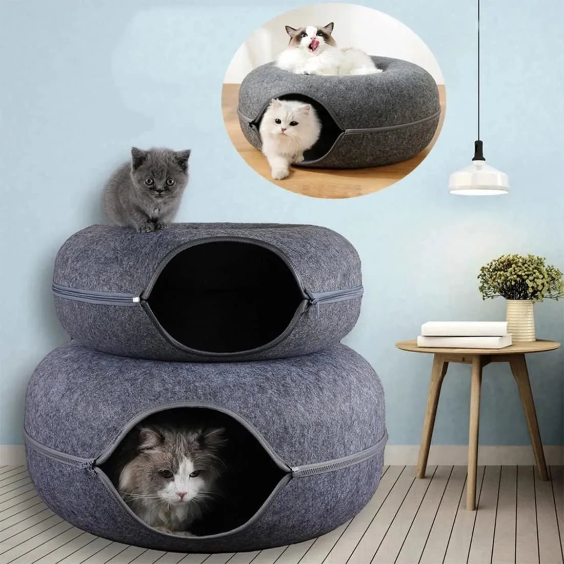 ChatCondo™ - Gris Foncé - Mon chat boutique