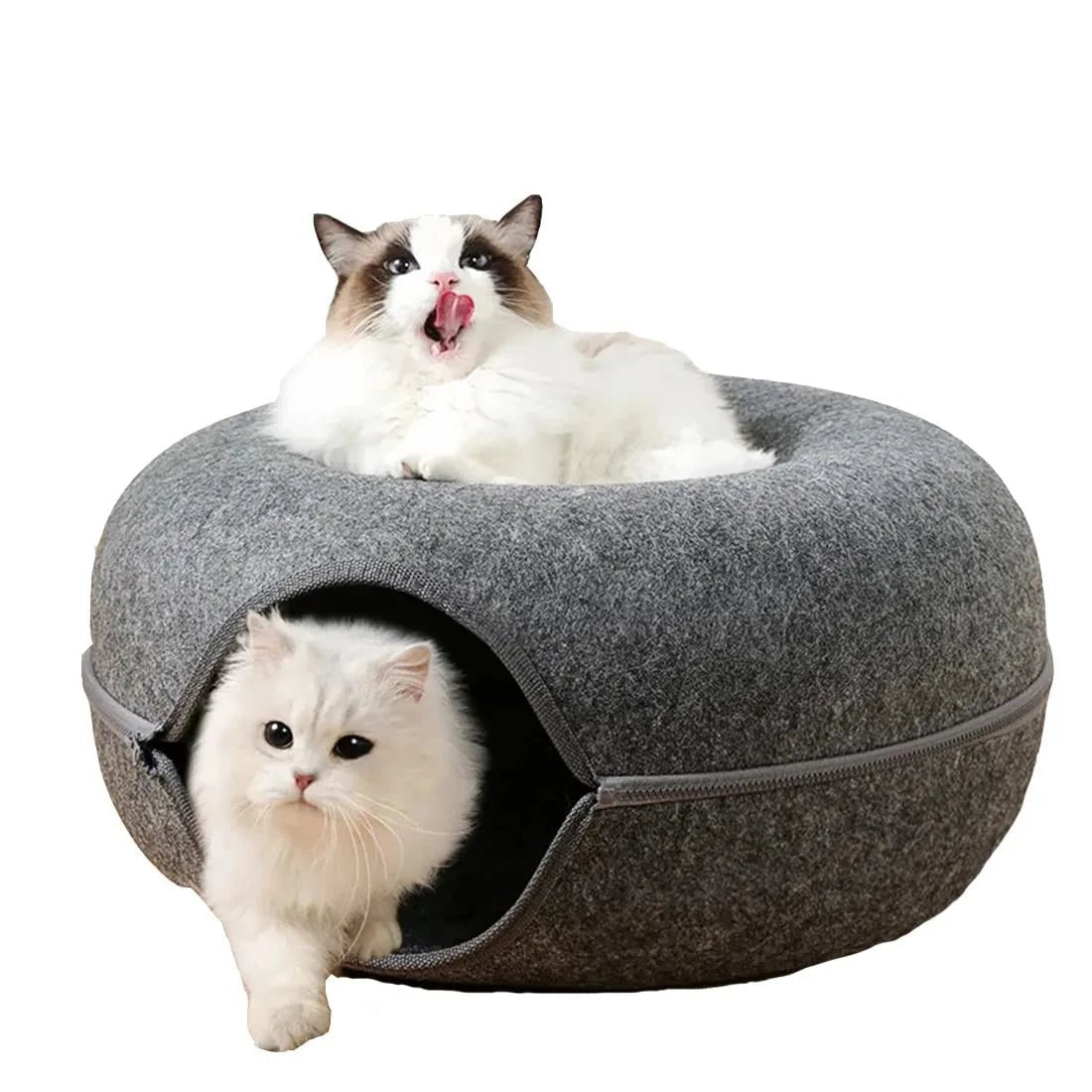 ChatCondo™ - Gris Foncé - Mon chat boutique
